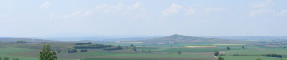 Weinolsheim / Rheinhessen